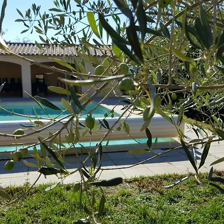 Dison וילה Euzet